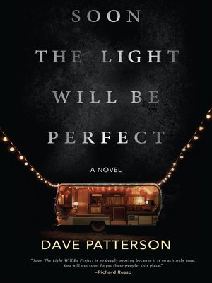 cover image of Soon the Light Will Be Perfect